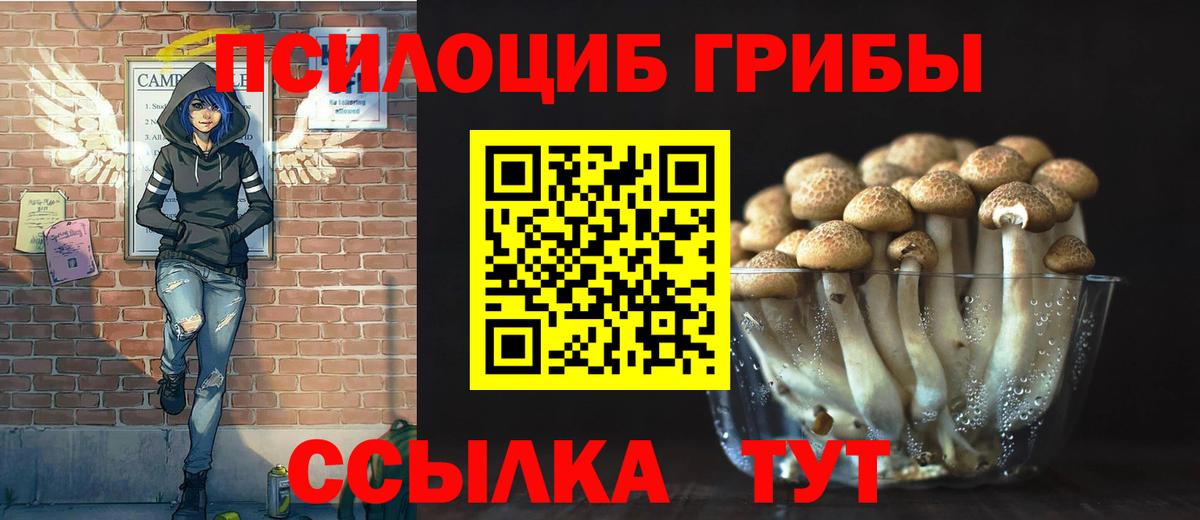 как найти   Псилоцибиновые грибы прущие грибы  Вход с VPN  Первоуральск  Псилоцибиновые грибы Magic Shrooms 